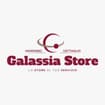 Logo Galassia Srl
