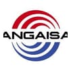 Logo Servizi Angaisa Srl
