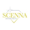 Logo Gioielli Domenico Scenna S.r.l