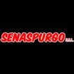 Logo Senaspurgo Srl