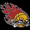 Logo Pallacanestro Scandiano Associazione Sportiva Dilettantistica