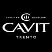 Logo Cavit S.c.