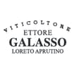 Logo Ettore Galasso Società Agricola A Responsabilita' Limitata, Abbi Nabile A Cantine Galasso S.a.r.l.,Galasso S.a.r.l.,C.g. S.a.r.l.,Ga.vi S.a.r.l., Ga.vini S.a.r.l.,Anche Den.ai Soli Fini Dell'imb.to Dei Vini In:ettore Galasso, C.g., Ga.vi.,Ga.ia.,Conte Di Castelvecchio, Villa Vestea,Nobile Delle Rocche
