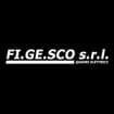 Logo Fi.ge.sco. Srl