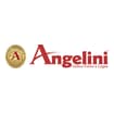 Logo Angelini Oronzo & C. S.n.c.