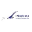 Logo Il Gabbiano Società Cooperativa Sociale Di Solidarieta' In Sigla Il Gabbiano Cooperativa Sociale
