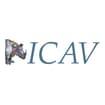 Logo Icav Srl