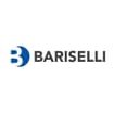 Logo Bariselli Di Bariselli Giorgio E C. Snc