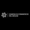 Logo Camera Di Commercio Di Molise (Campobasso E Isernia)
