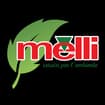 Logo Melli Aleardo Service Srl