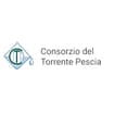 Logo Consorzio Del Torrente Pescia Spa