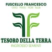 Logo Tesoro Della Terra Srl