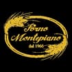 Logo Forno Montepiano Di Scatizzi Luigi E C. Snc