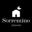 Logo Sorrentino Vini Srl Società Agricola
