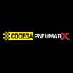Logo Codega Pneumatix Srl