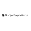 Logo Carpinelli Srl