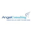 Logo Angel Consulting Srl