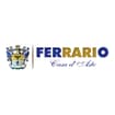 Logo Ferrario Aste Srl