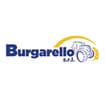 Logo Burgarello Srl