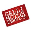 Logo "Galli Motor-Service Di Galli Giorgio E C. - S.n.c."