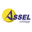 Logo Assel Srl