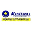 Logo Monticone Di Monticone Angelo E C. Srl