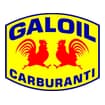 Logo Galoil Srl