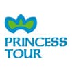 Logo Princess Tour Srl