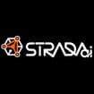 Logo Strada Artificial Intelligence Srl