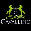 Logo Il Cavallino - Residence Casa Bianca Srl