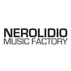 Logo N.p.m.s. - Nerolidio Planet Music Servizi