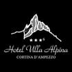 Logo Hotel Villa Alpina Di Zardini Elio