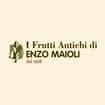 Logo Maioli Piante Srl