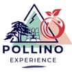 Logo Pollino Work Srl
