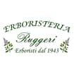 Logo Erboristeria Ruggeri Di Caristi Monia & C. - S.a.s.