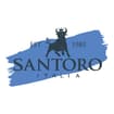 Logo Santoro Italia Srl