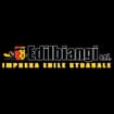 Logo Edilbiangi Srl