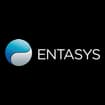 Logo Entasys Srl