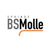 Logo Bsmolle Srl