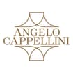 Logo Angelo Cappellini E C. Srl