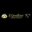 Logo Frantoio Il Cavallino Srl In Forma Abbreviata Frantoio Il Cavallino Srl