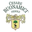 Logo Azienda Agricola Buonamici Srl