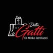 Logo Ditta Gatti Di Mirko Ientilucci