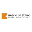 Logo Badini Gaetano Srl
