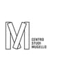 Logo Centro Studi Mugello Srl