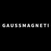 Logo Gauss Magneti Srl