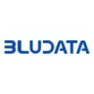 Logo Bludata Srl