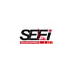 Logo Sefi Srl