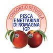 Logo Consorzio Di Tutela Pesca E Nettarina Di Romagna I.g.p.