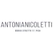 Logo Nicoletti Antonia